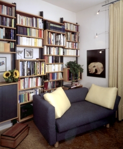 Regal, Roheisen und Buche